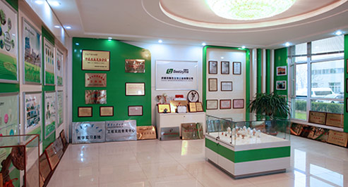 复合酶的作用是什么?