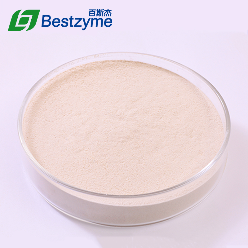 Bestzyme CE804 For Pig
