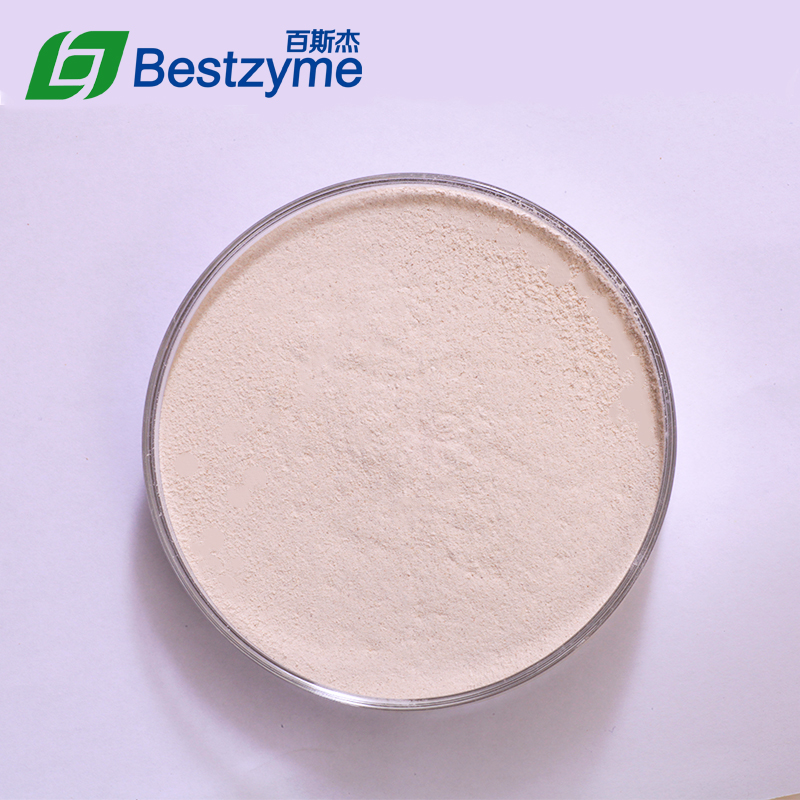 Bestzyme CE804 For Pig