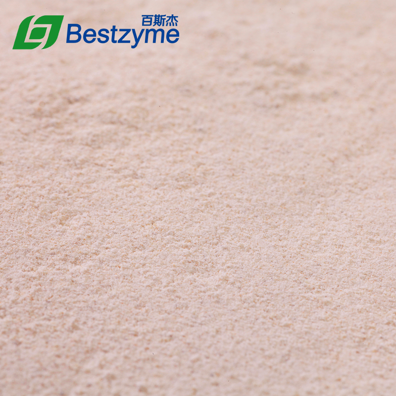 Bestzyme CE804 For Pig