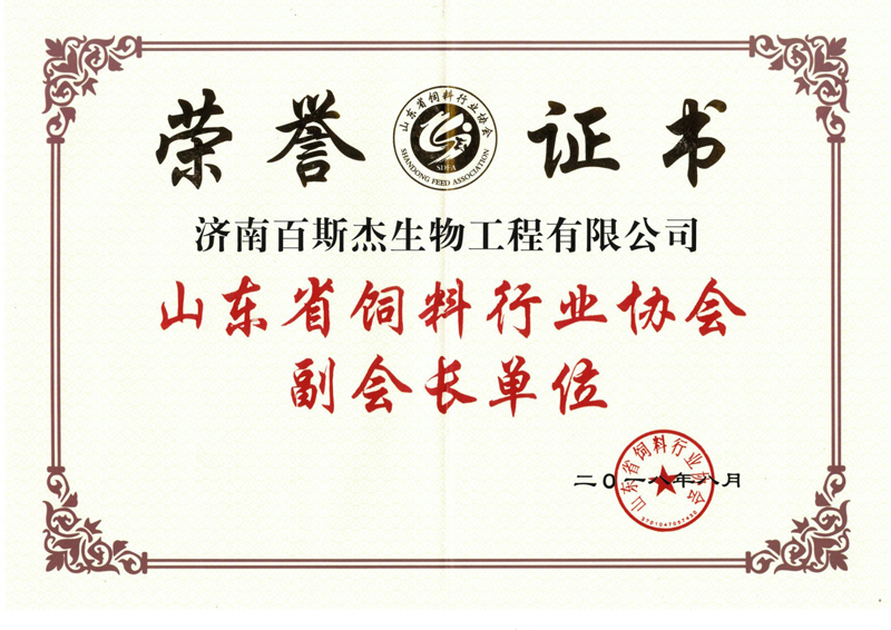 Bestzyme honor (1).jpg