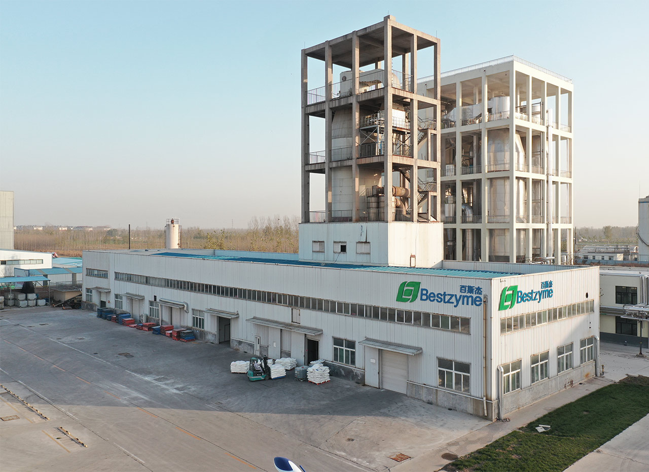 为什么选择Bestzyme