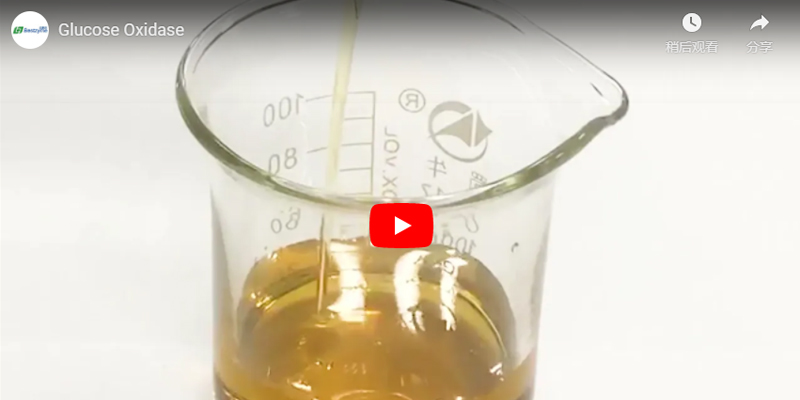 葡萄糖氧化酶的Bestzyme